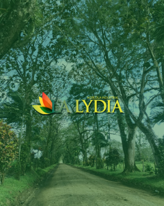 La Lydia agricola industrial la lydia s a HAaAMdM3