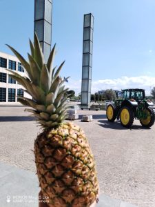 La Lydia agricola industrial la lydia s a NFXYPVVn
